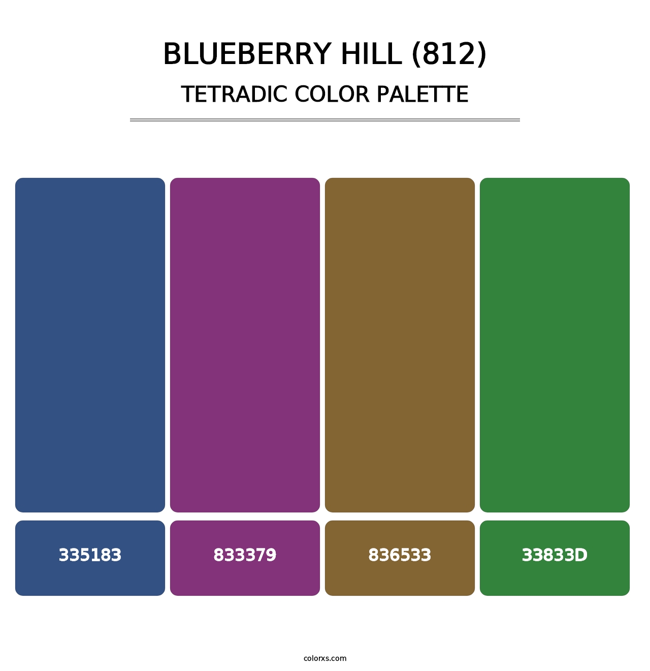 Blueberry Hill (812) - Tetradic Color Palette
