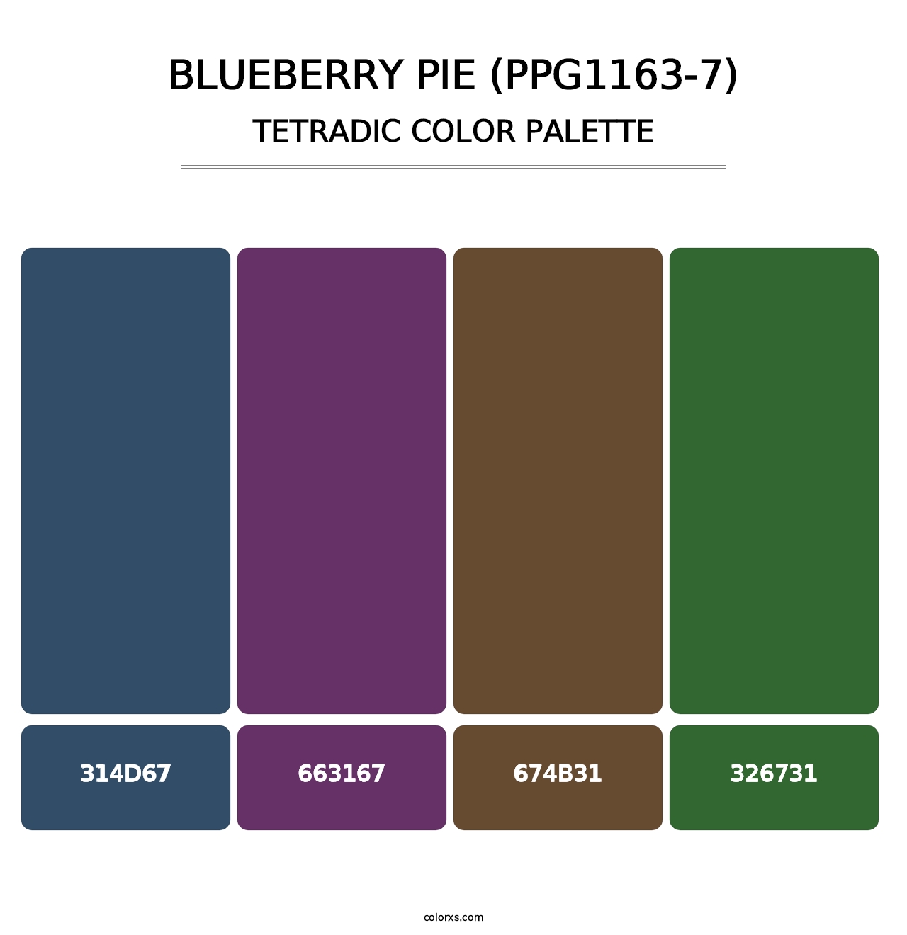 Blueberry Pie (PPG1163-7) - Tetradic Color Palette
