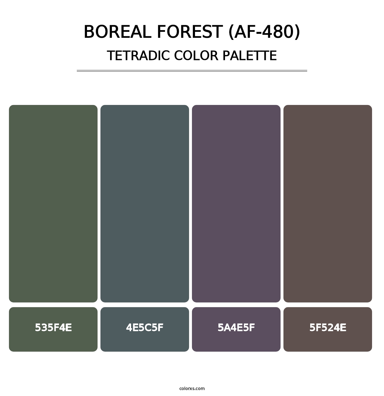 Boreal Forest (AF-480) - Tetradic Color Palette