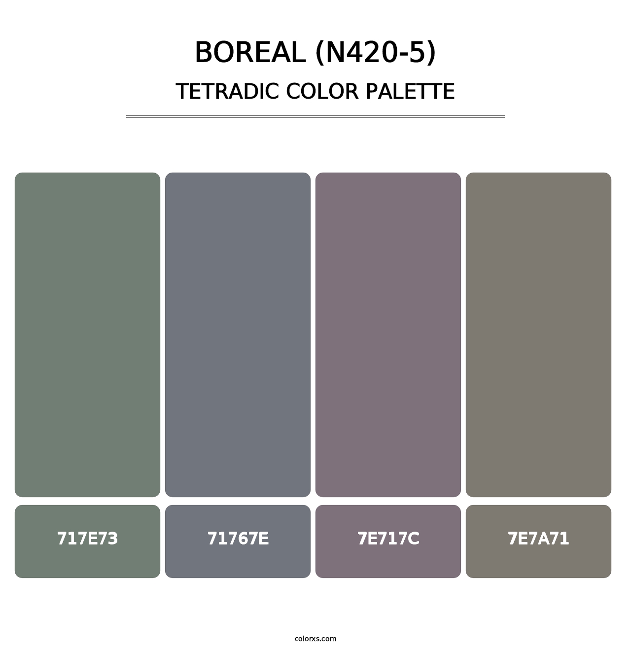 Boreal (N420-5) - Tetradic Color Palette