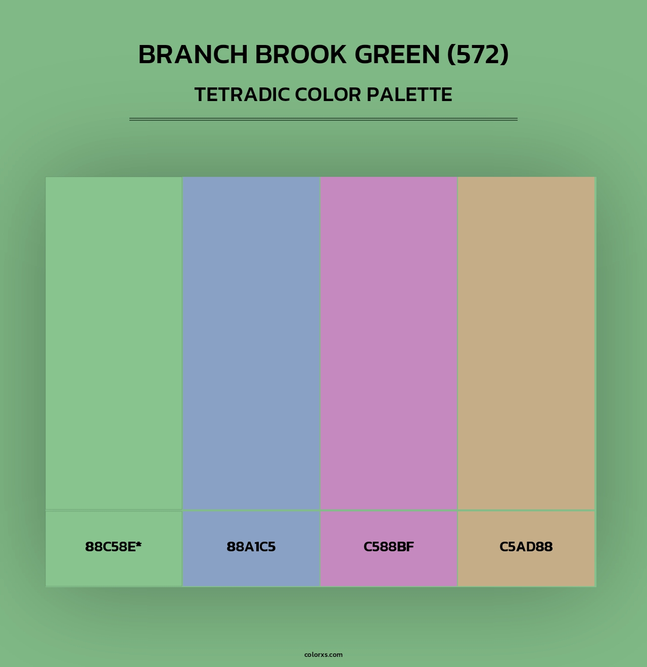 Branch Brook Green (572) - Tetradic Color Palette