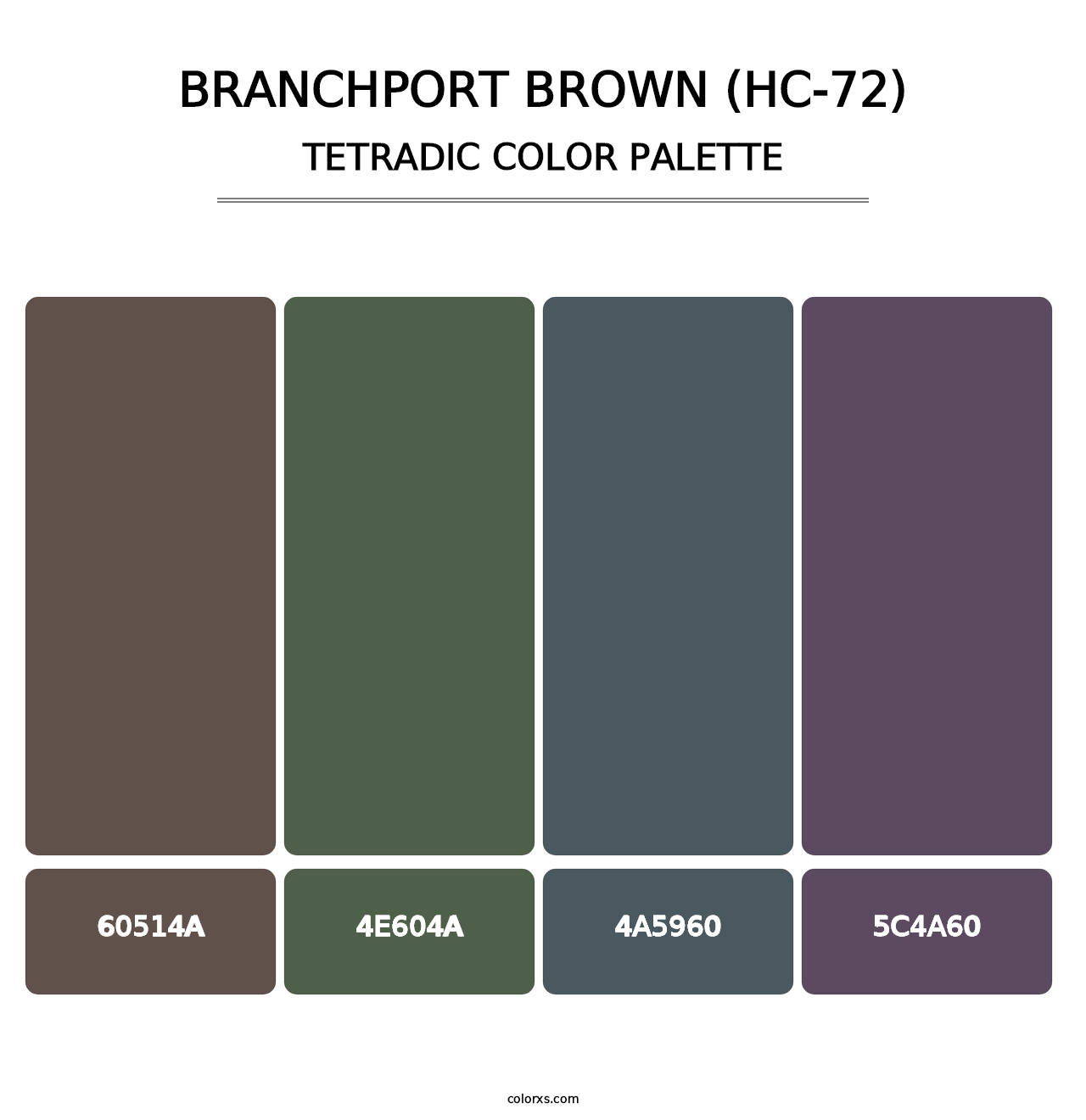 Branchport Brown (HC-72) - Tetradic Color Palette