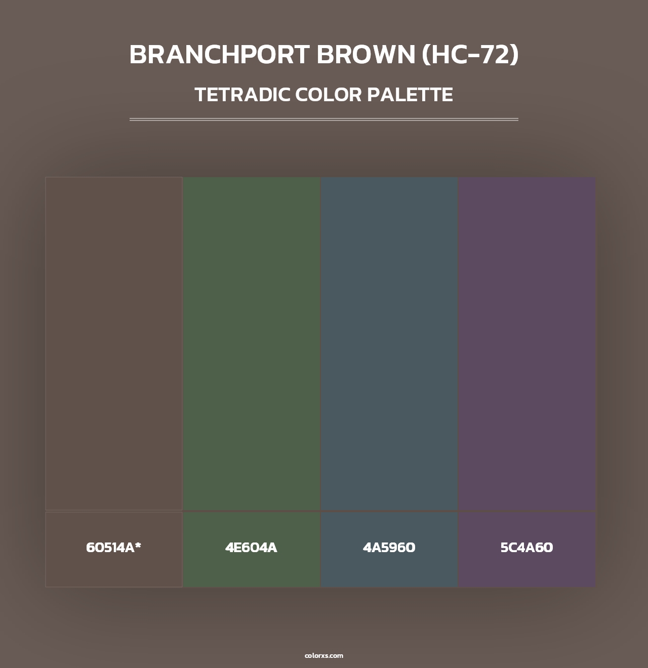 Branchport Brown (HC-72) - Tetradic Color Palette