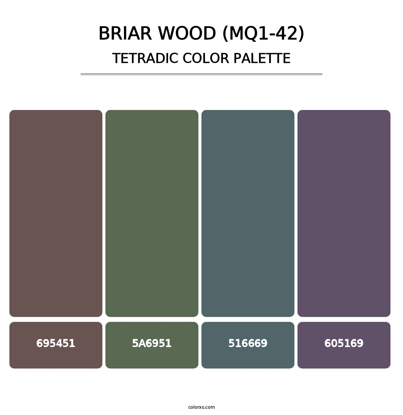 Briar Wood (MQ1-42) - Tetradic Color Palette