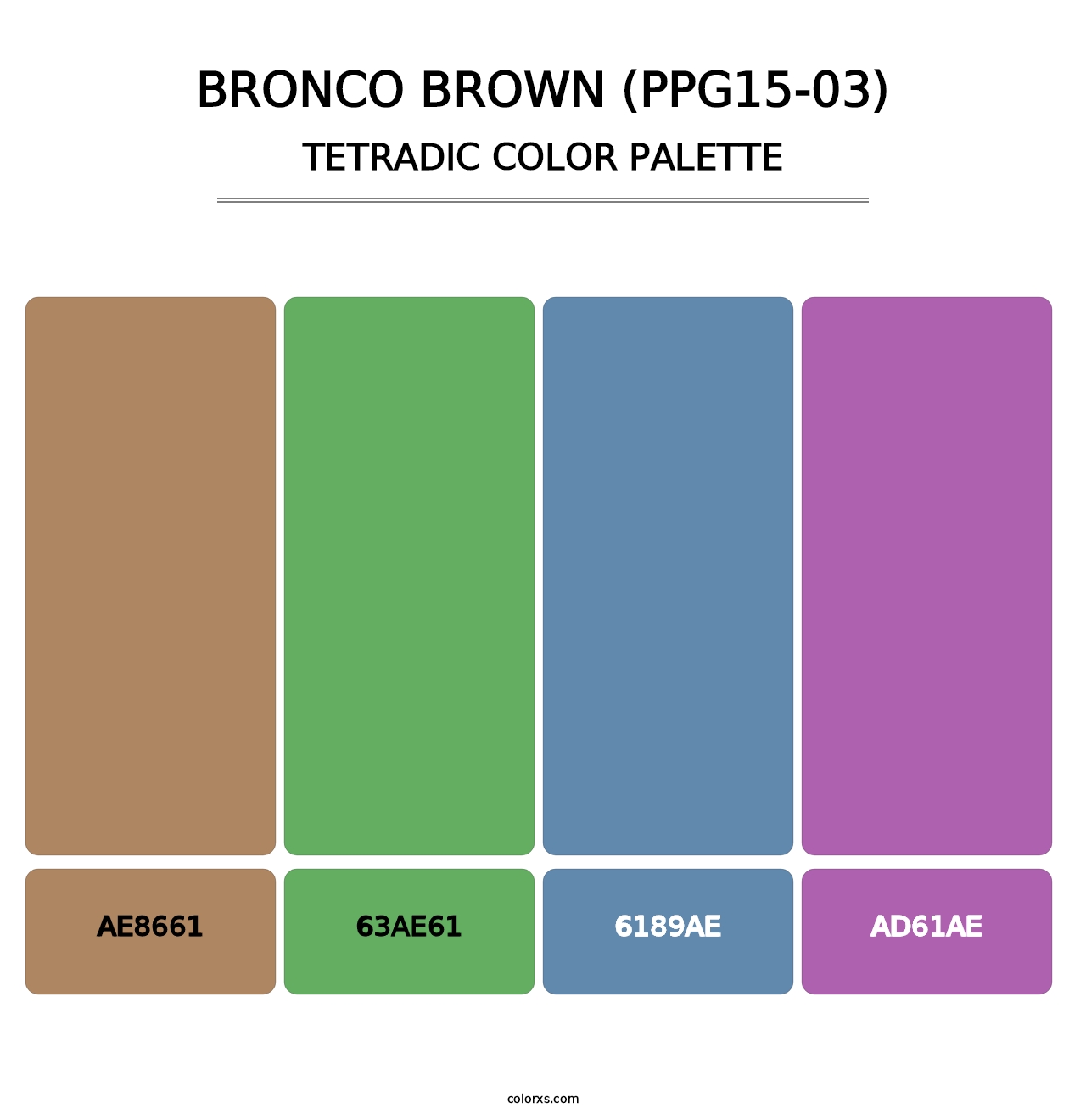 Bronco Brown (PPG15-03) - Tetradic Color Palette
