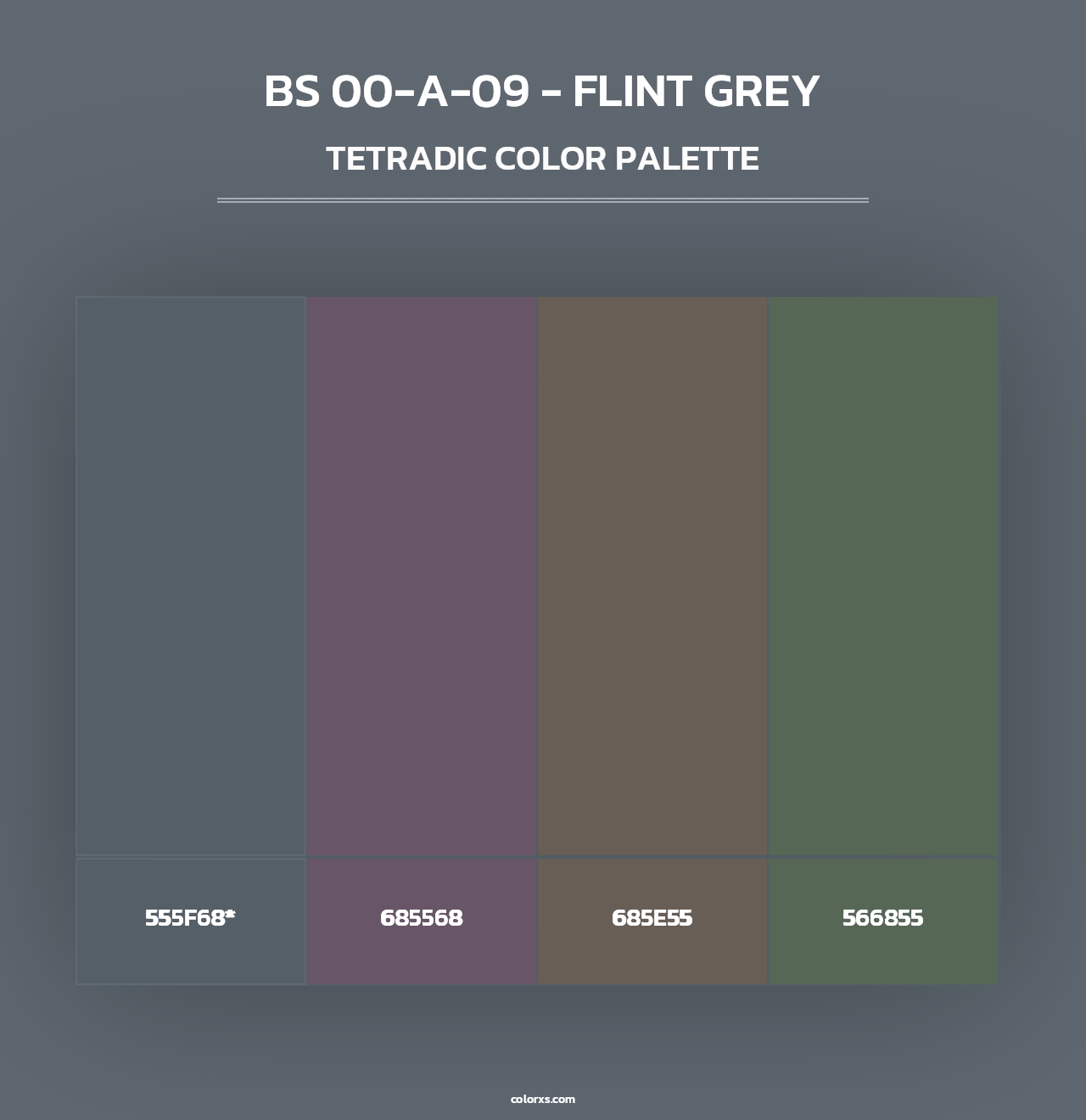 BS 00-A-09 - Flint Grey - Tetradic Color Palette