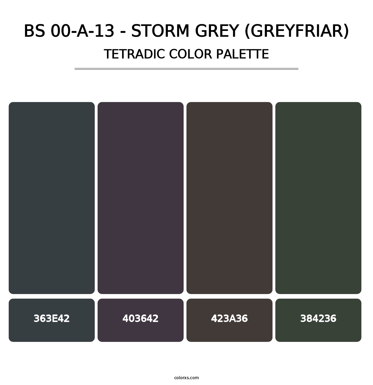 BS 00-A-13 - Storm Grey (Greyfriar) - Tetradic Color Palette
