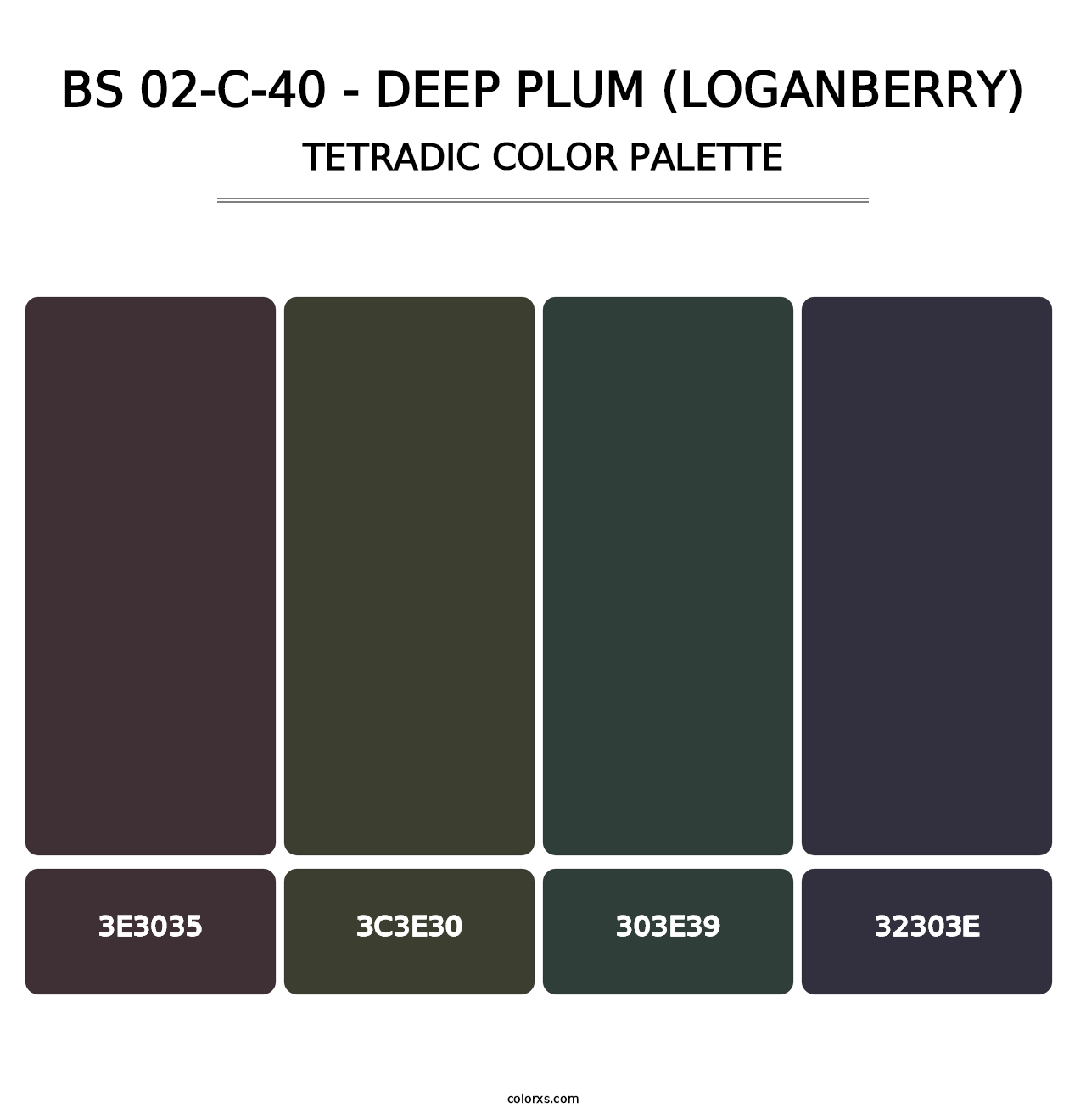 BS 02-C-40 - Deep Plum (Loganberry) - Tetradic Color Palette