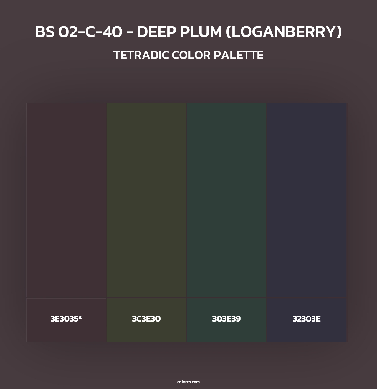 BS 02-C-40 - Deep Plum (Loganberry) - Tetradic Color Palette