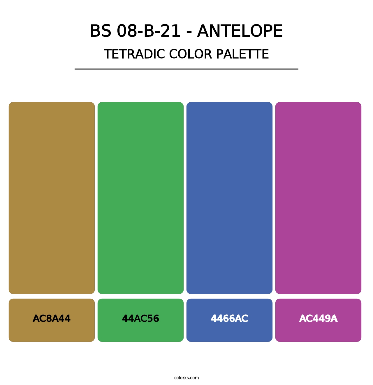 BS 08-B-21 - Antelope - Tetradic Color Palette