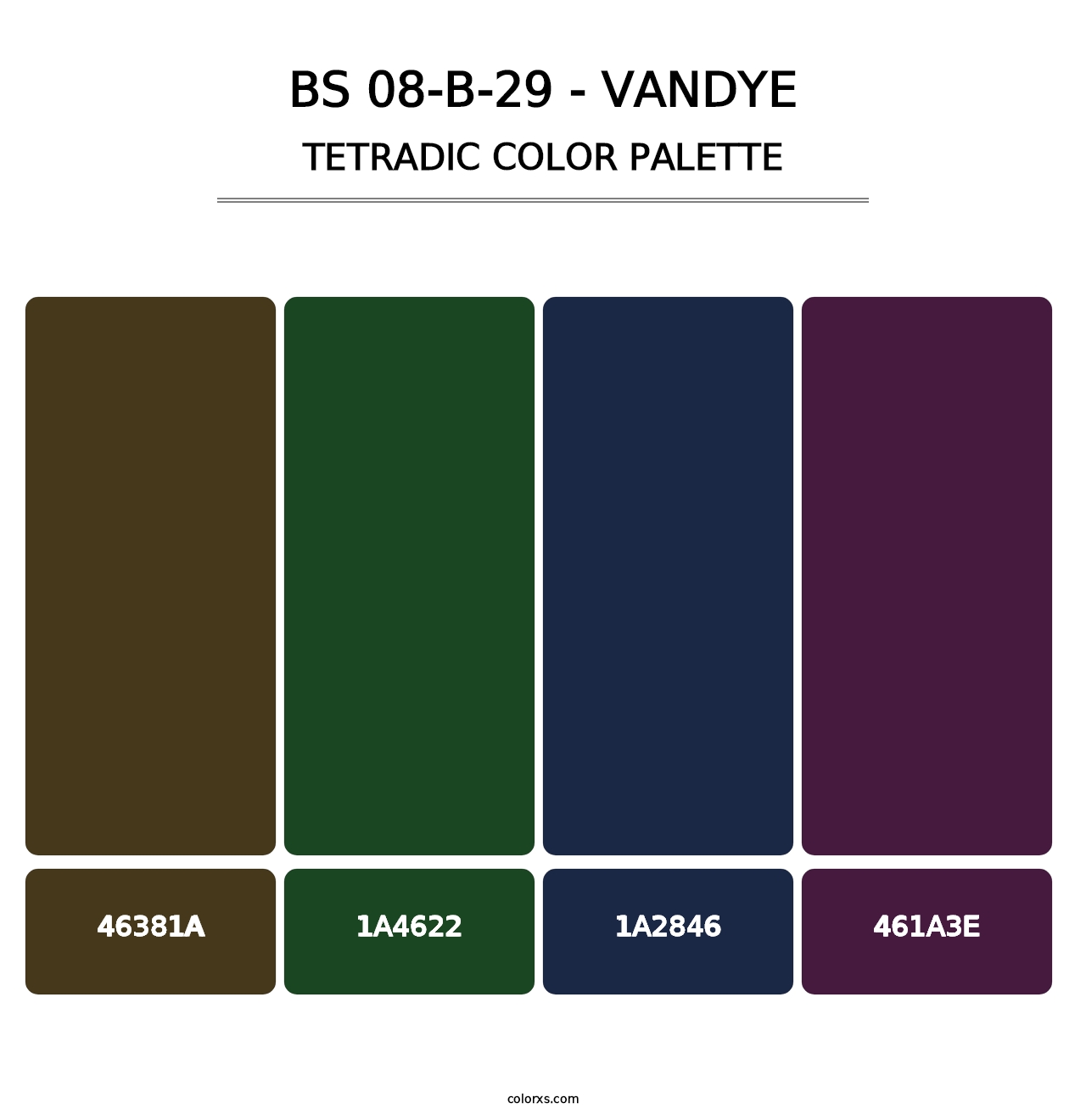 BS 08-B-29 - Vandye - Tetradic Color Palette