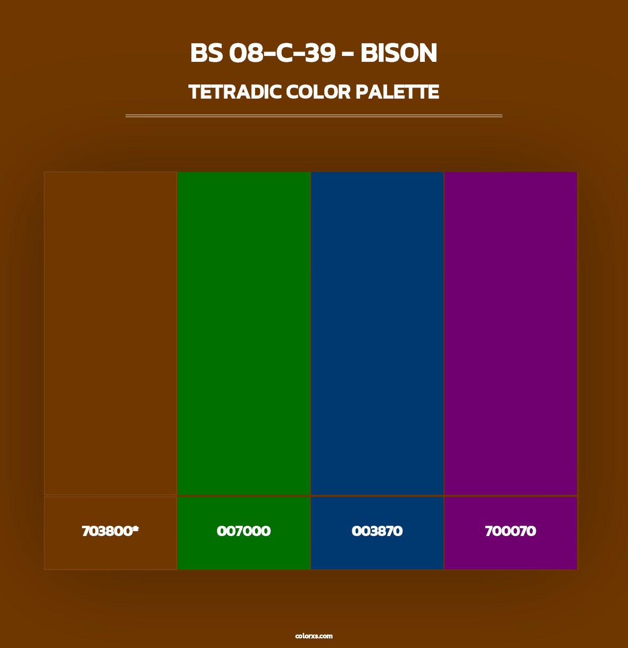 BS 08-C-39 - Bison - Tetradic Color Palette