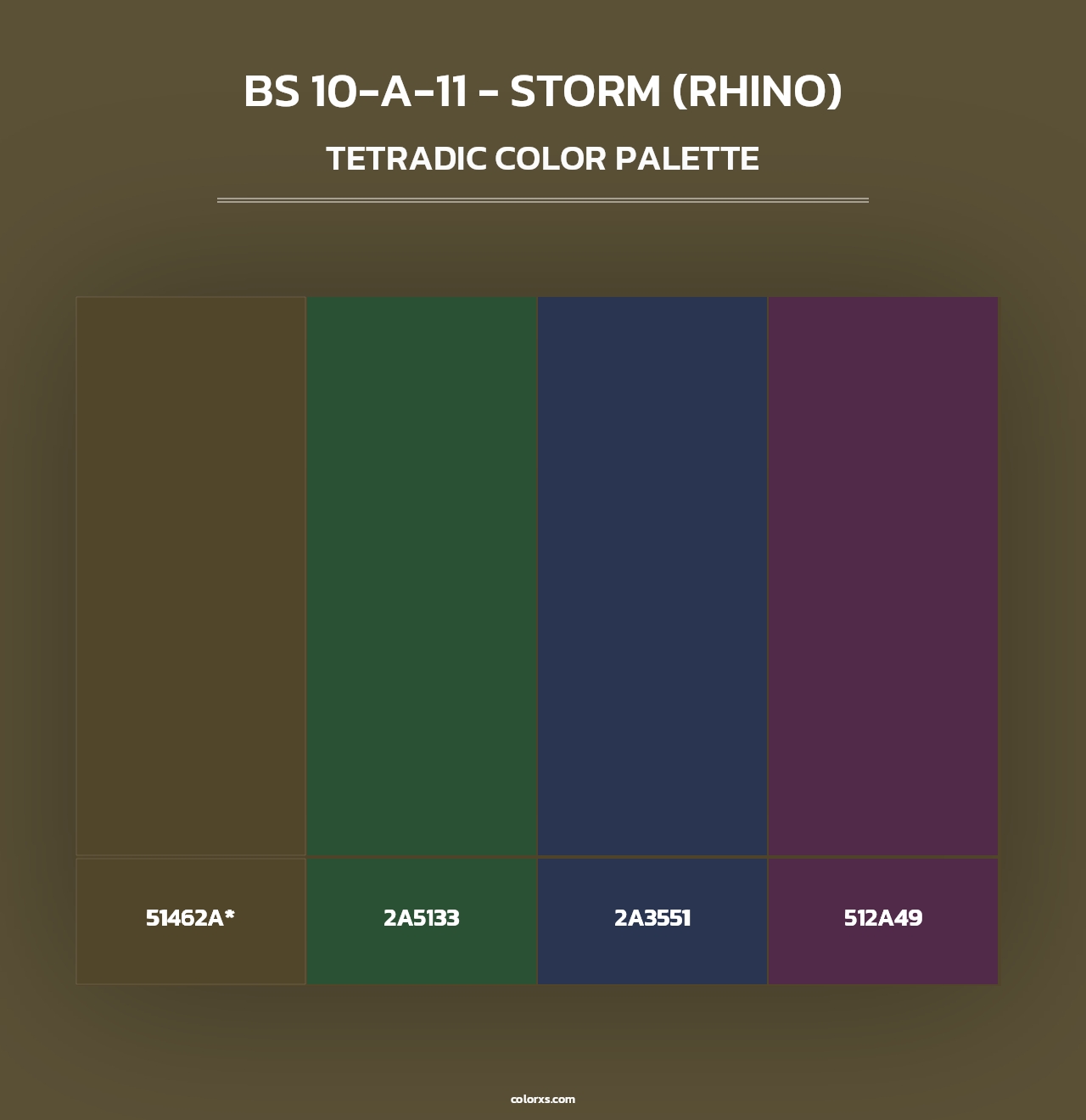 BS 10-A-11 - Storm (Rhino) - Tetradic Color Palette