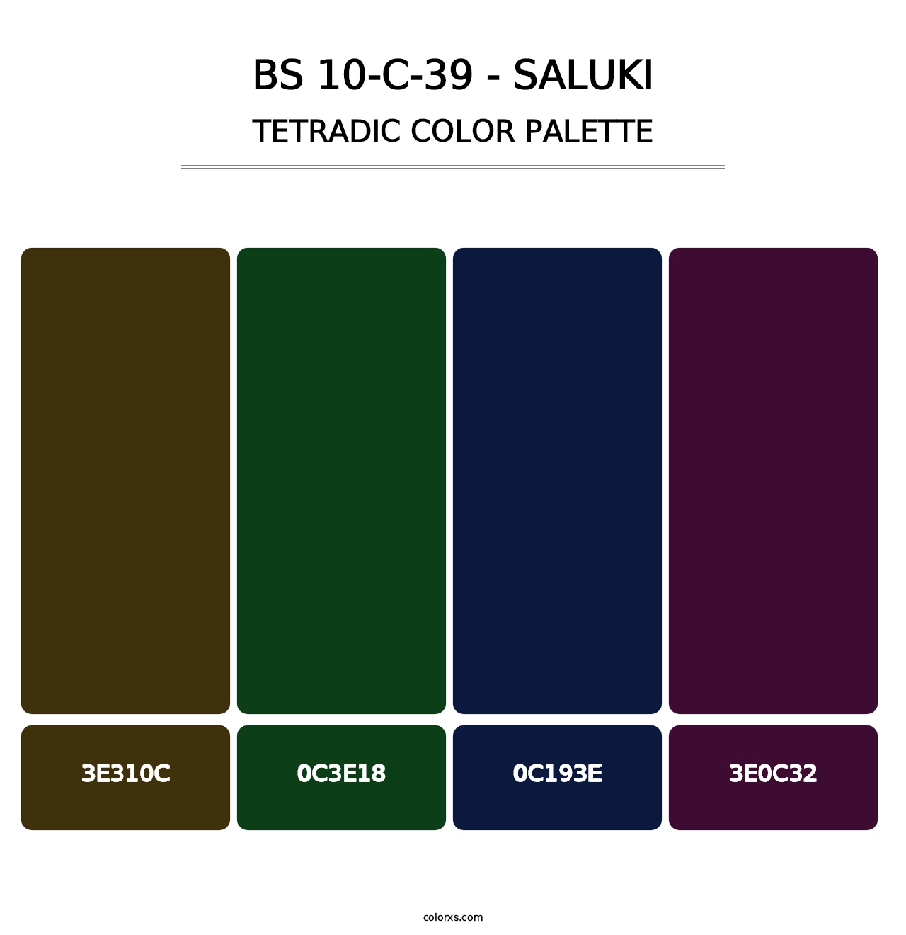 BS 10-C-39 - Saluki - Tetradic Color Palette