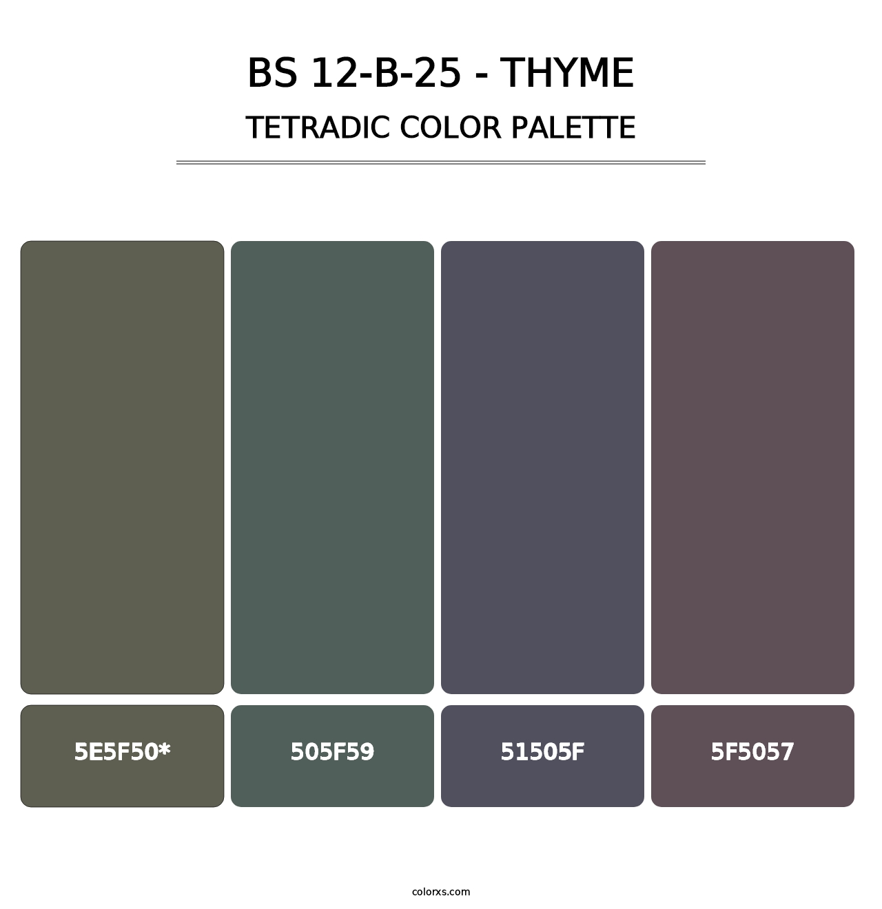 BS 12-B-25 - Thyme - Tetradic Color Palette