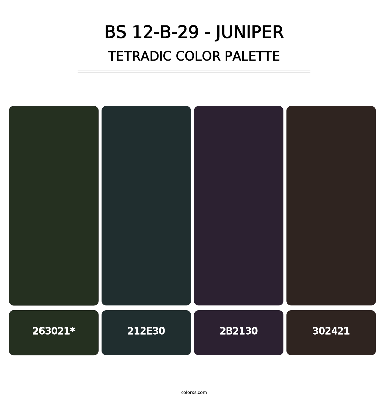 BS 12-B-29 - Juniper - Tetradic Color Palette