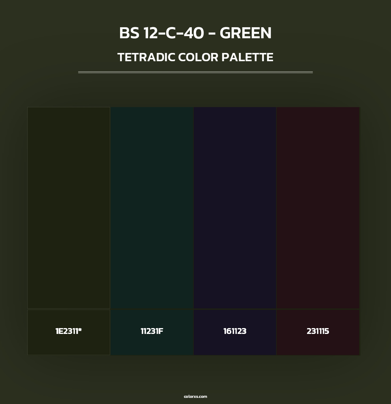 BS 12-C-40 - Green - Tetradic Color Palette