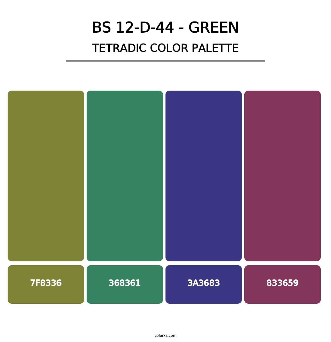 BS 12-D-44 - Green - Tetradic Color Palette