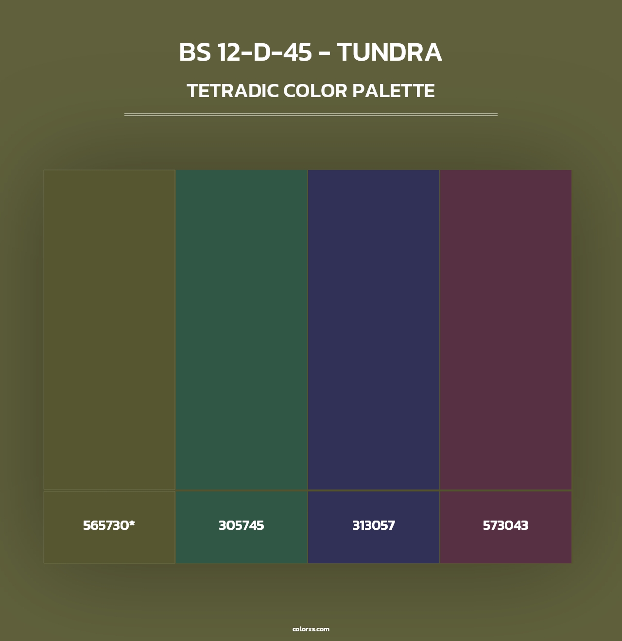 BS 12-D-45 - Tundra - Tetradic Color Palette