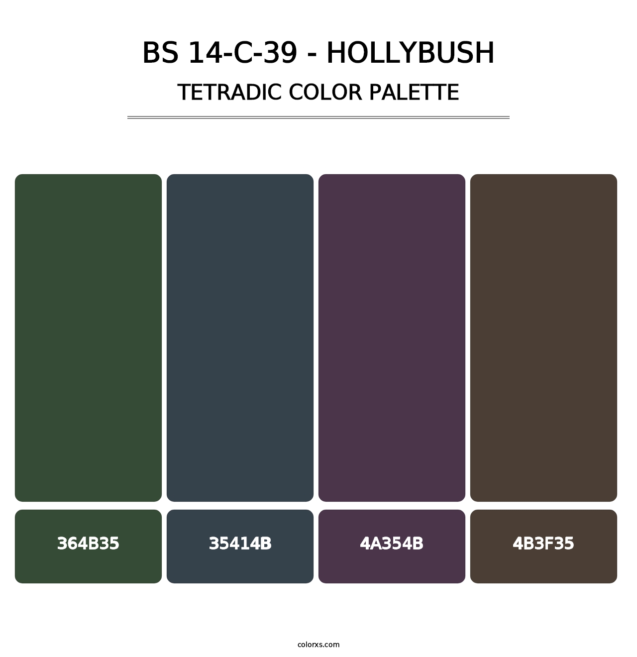 BS 14-C-39 - Hollybush - Tetradic Color Palette