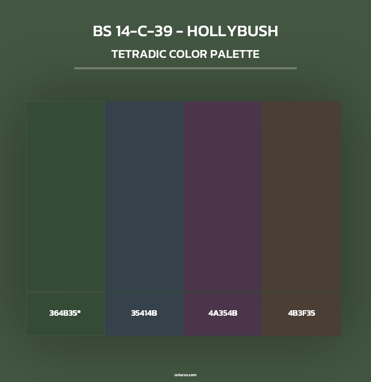 BS 14-C-39 - Hollybush - Tetradic Color Palette
