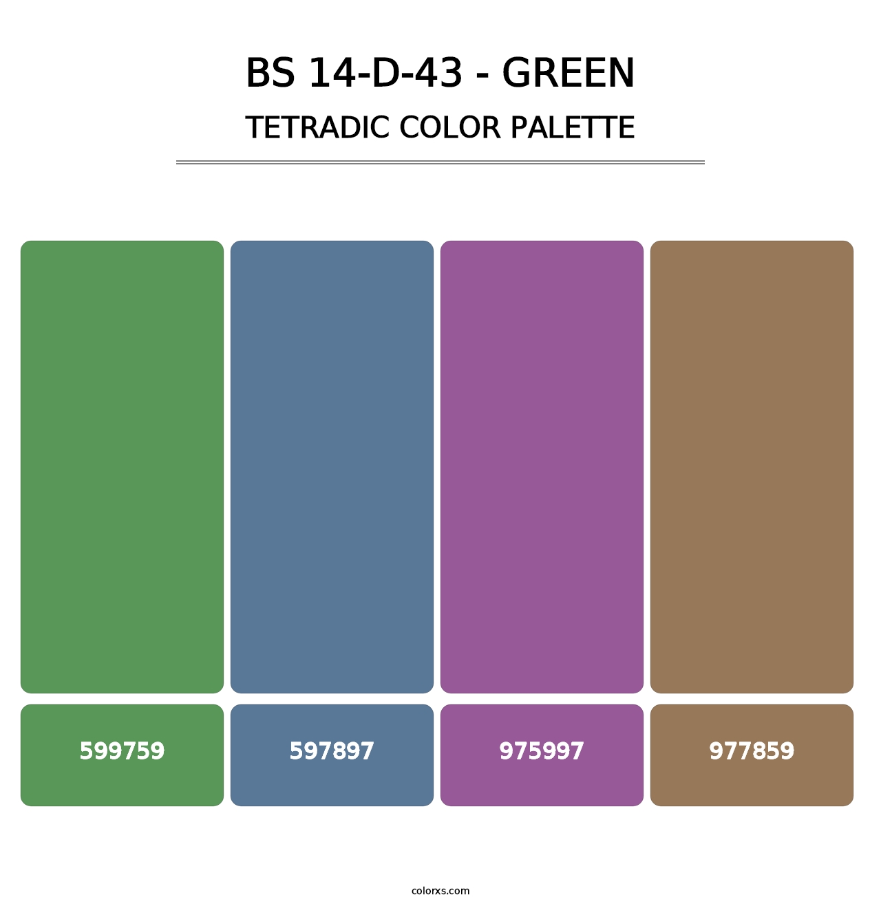 BS 14-D-43 - Green - Tetradic Color Palette