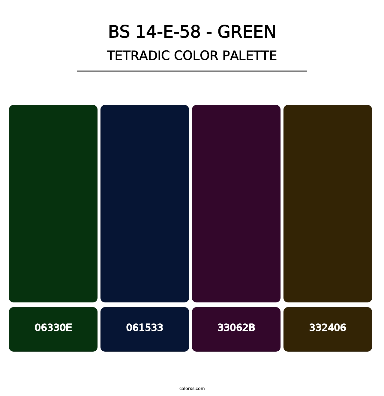 BS 14-E-58 - Green - Tetradic Color Palette