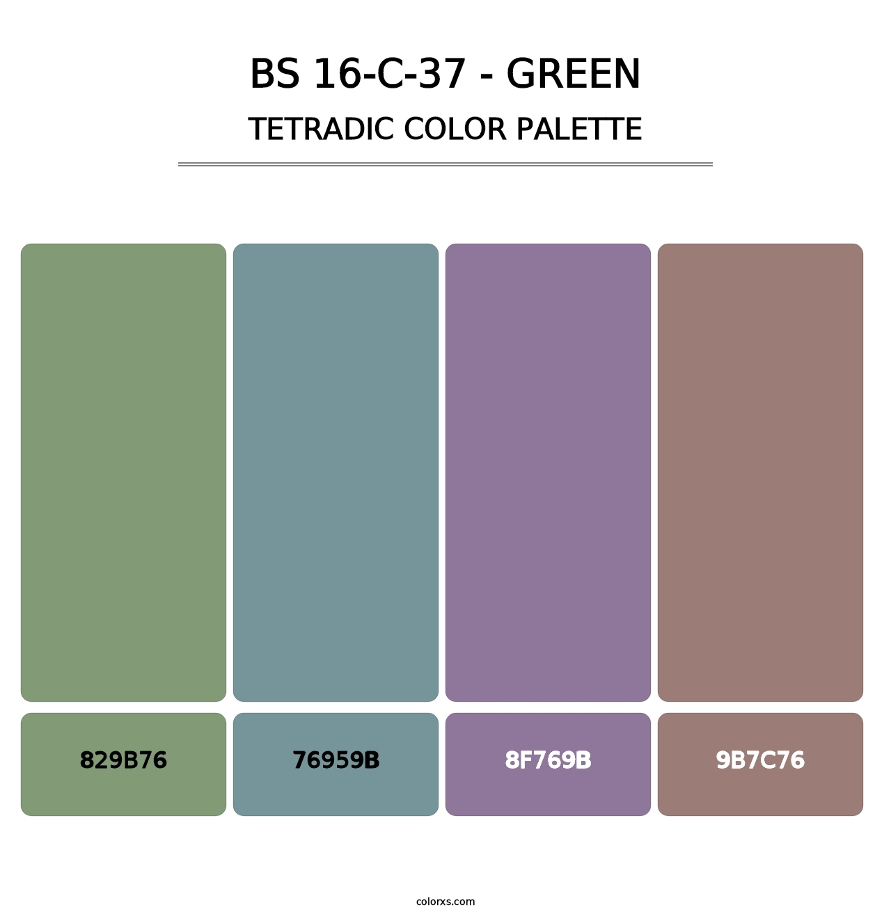 BS 16-C-37 - Green - Tetradic Color Palette