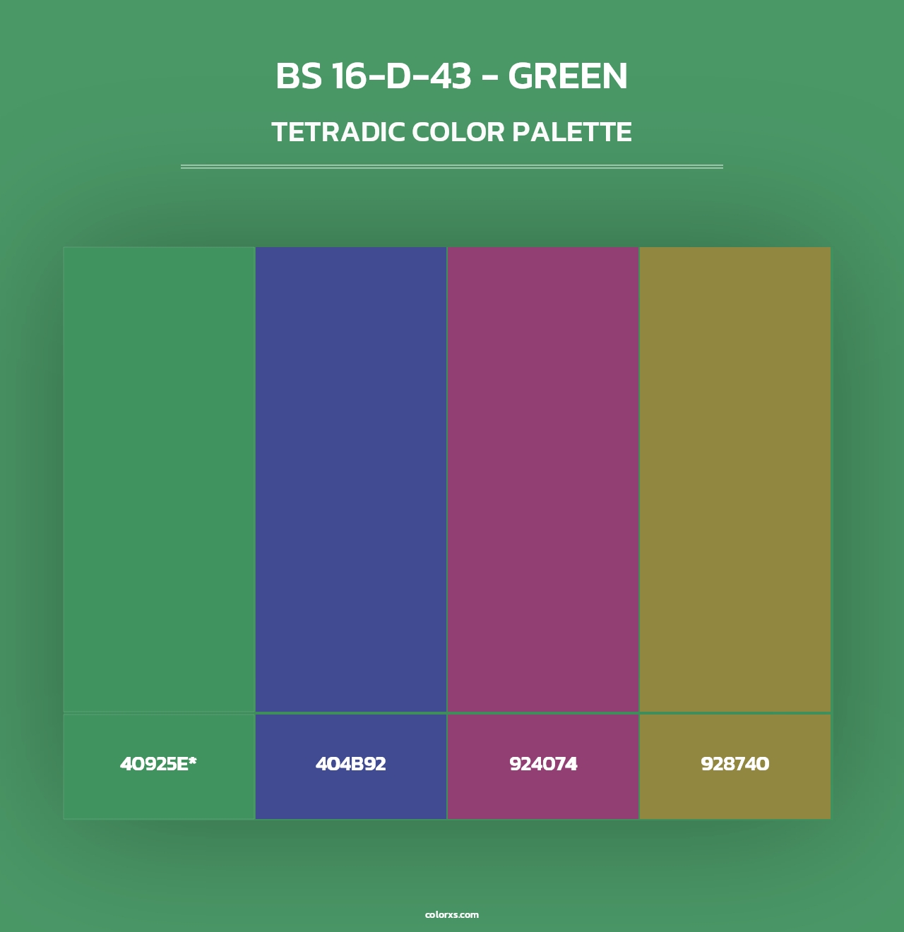 BS 16-D-43 - Green - Tetradic Color Palette
