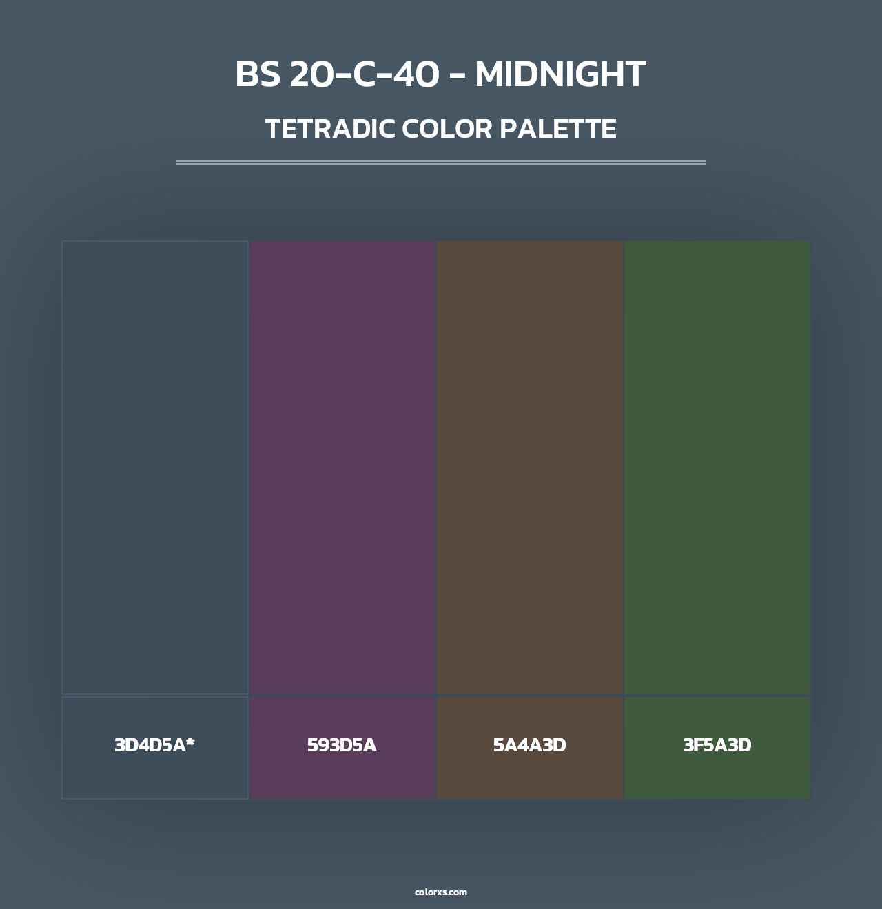BS 20-C-40 - Midnight - Tetradic Color Palette