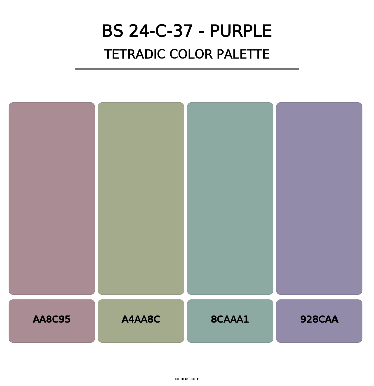 BS 24-C-37 - Purple - Tetradic Color Palette