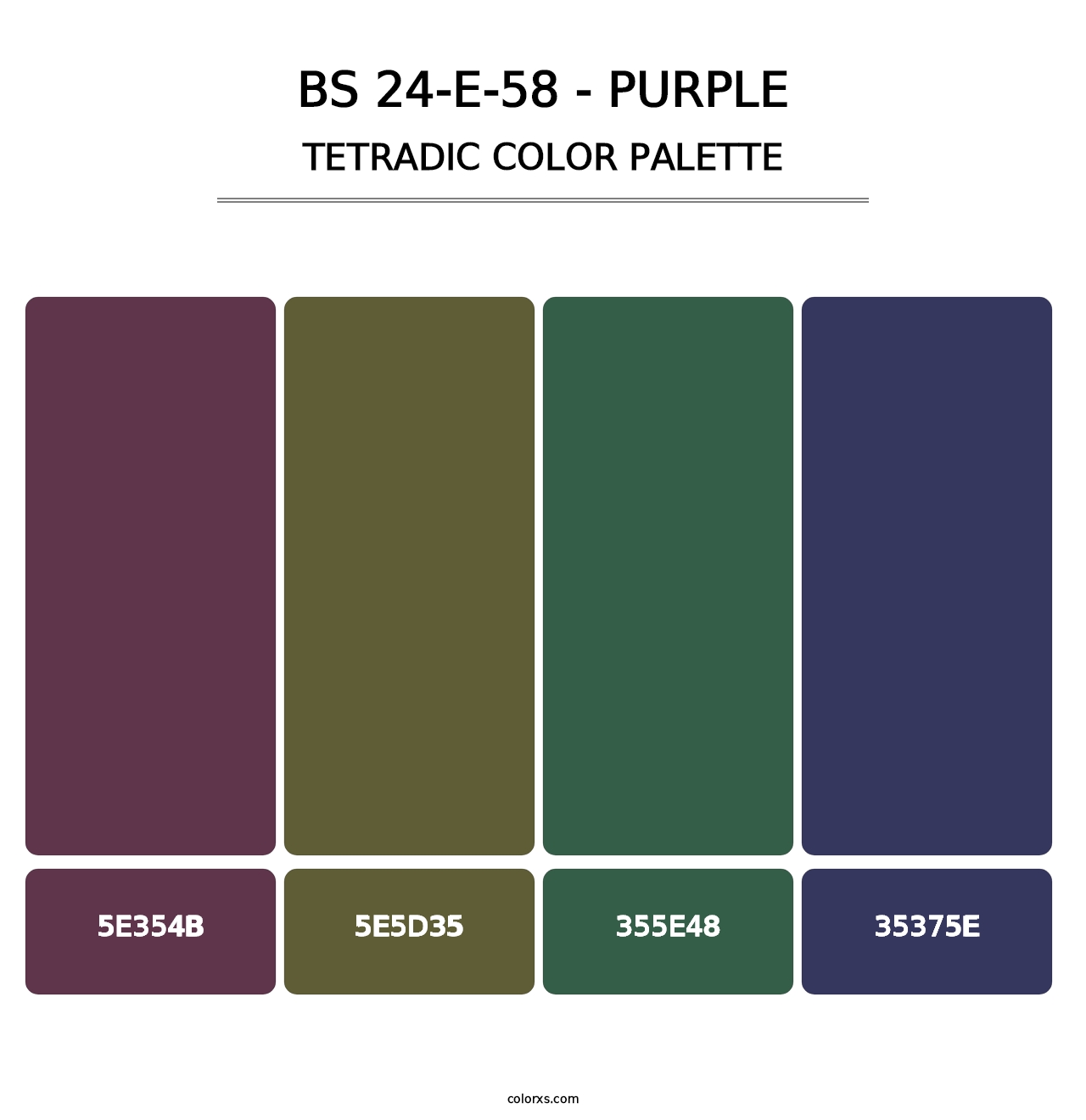 BS 24-E-58 - Purple - Tetradic Color Palette