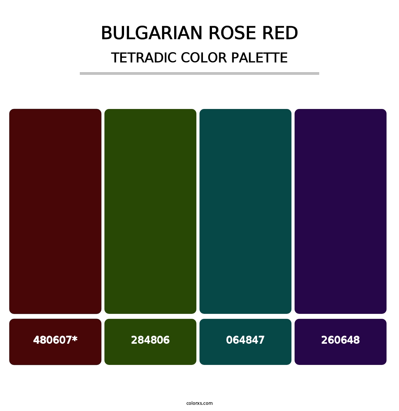 Bulgarian Rose Red - Tetradic Color Palette