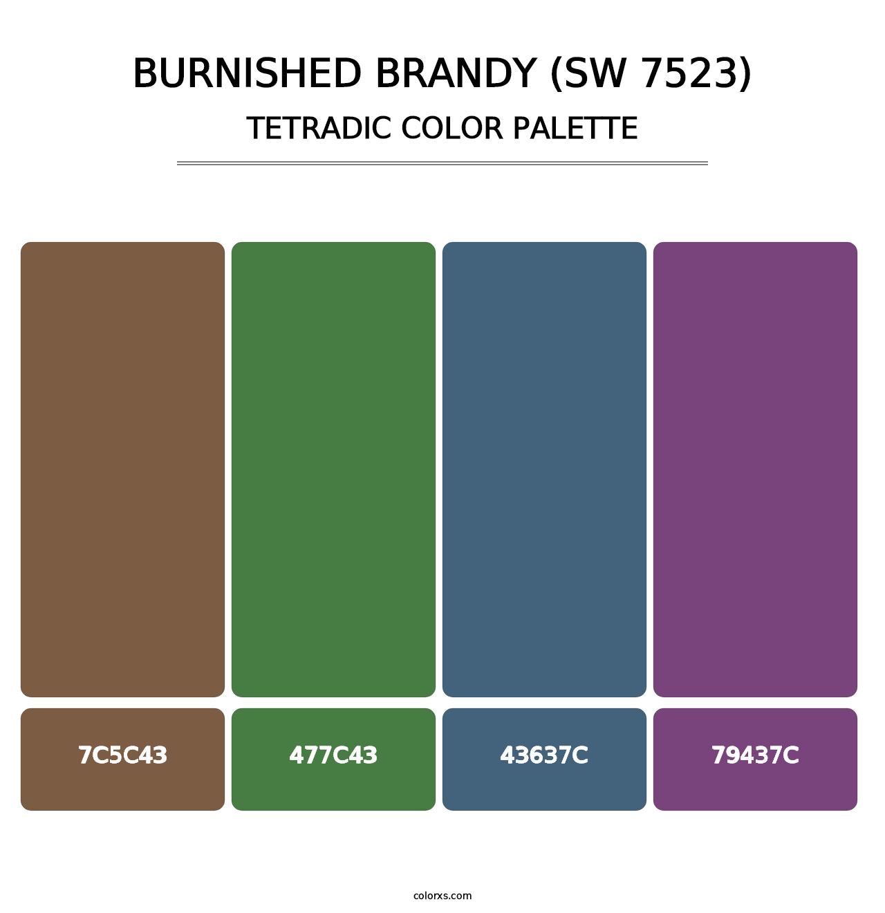 Burnished Brandy (SW 7523) - Tetradic Color Palette
