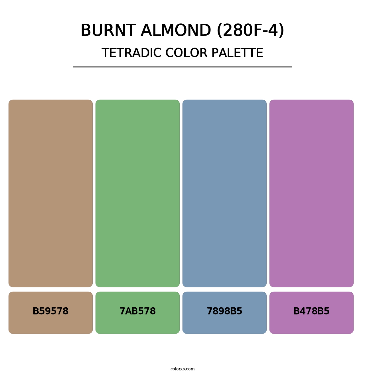 Burnt Almond (280F-4) - Tetradic Color Palette