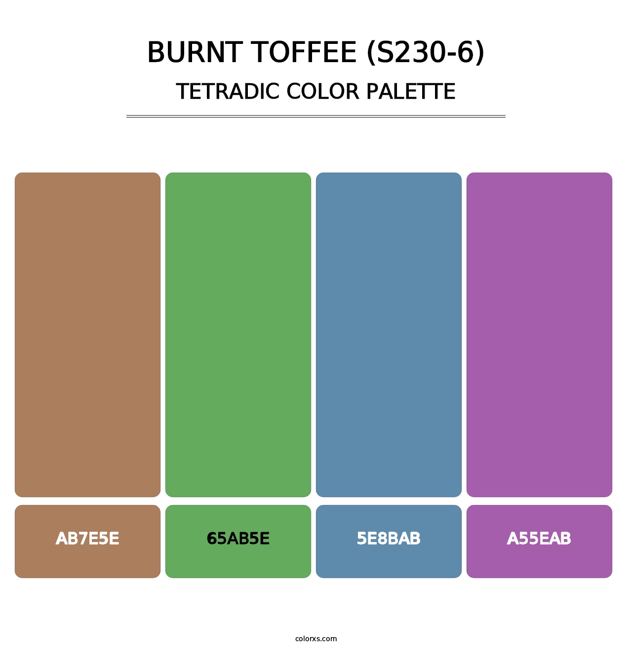 Burnt Toffee (S230-6) - Tetradic Color Palette