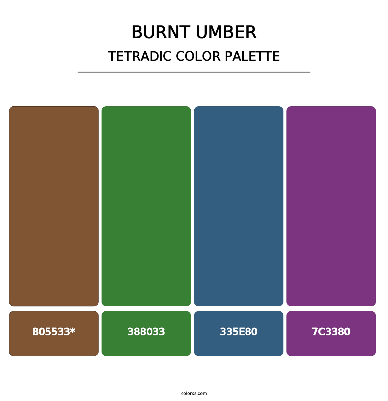 Burnt Umber - Tetradic Color Palette