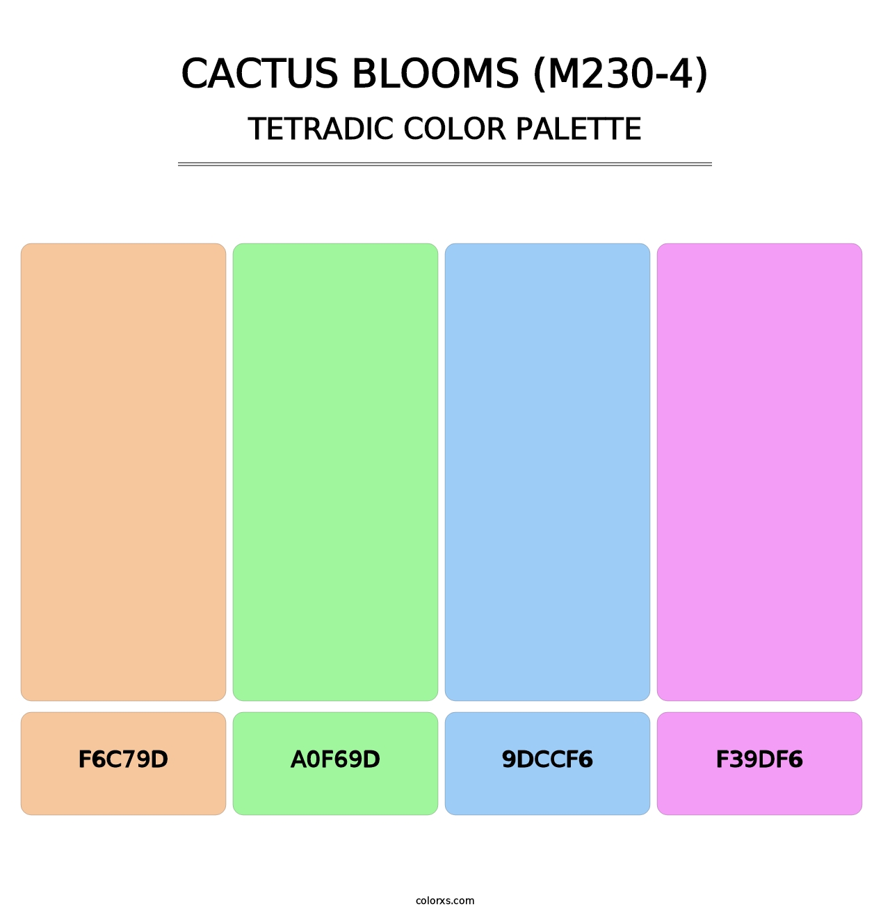 Cactus Blooms (M230-4) - Tetradic Color Palette