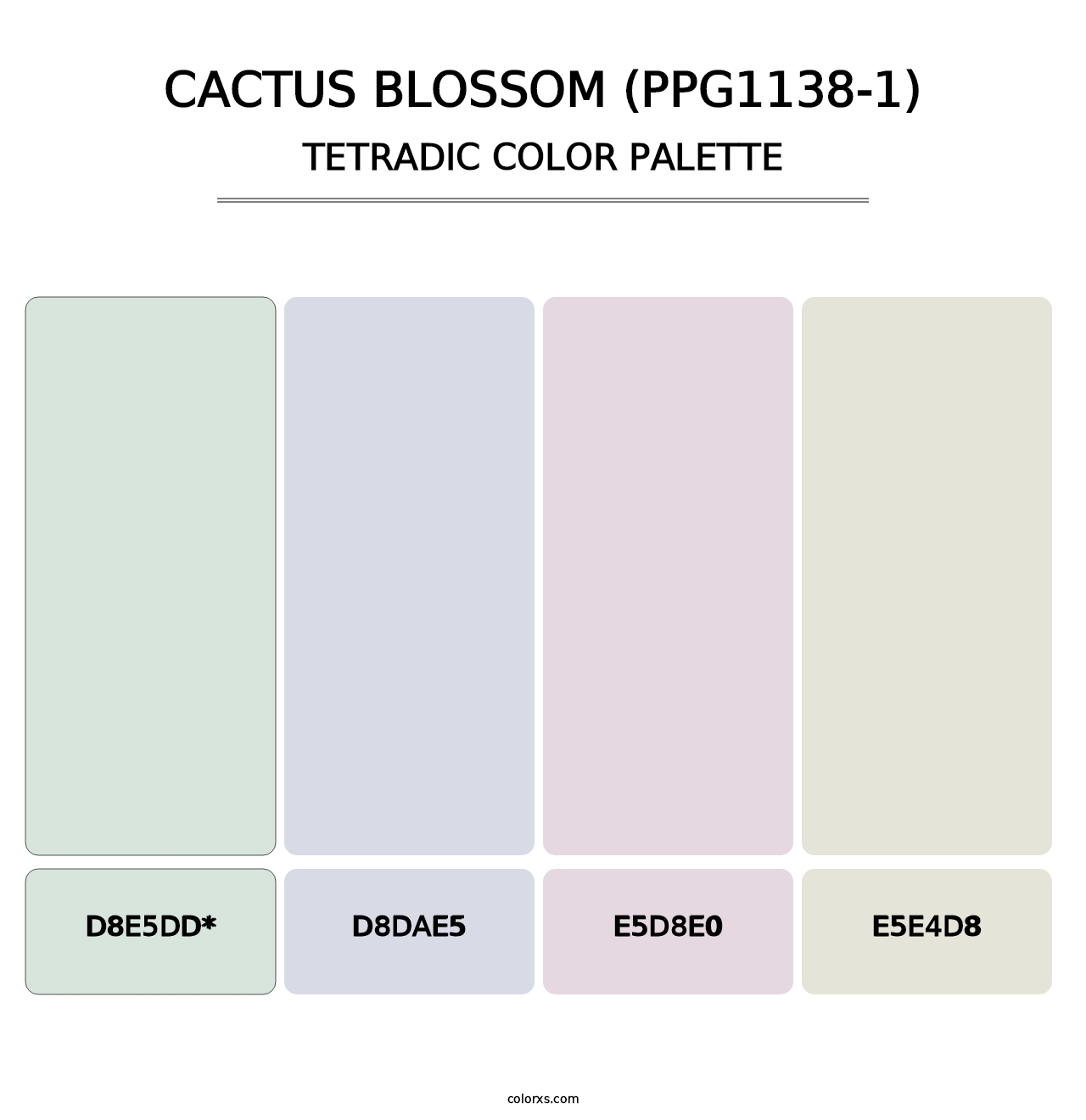 Cactus Blossom (PPG1138-1) - Tetradic Color Palette