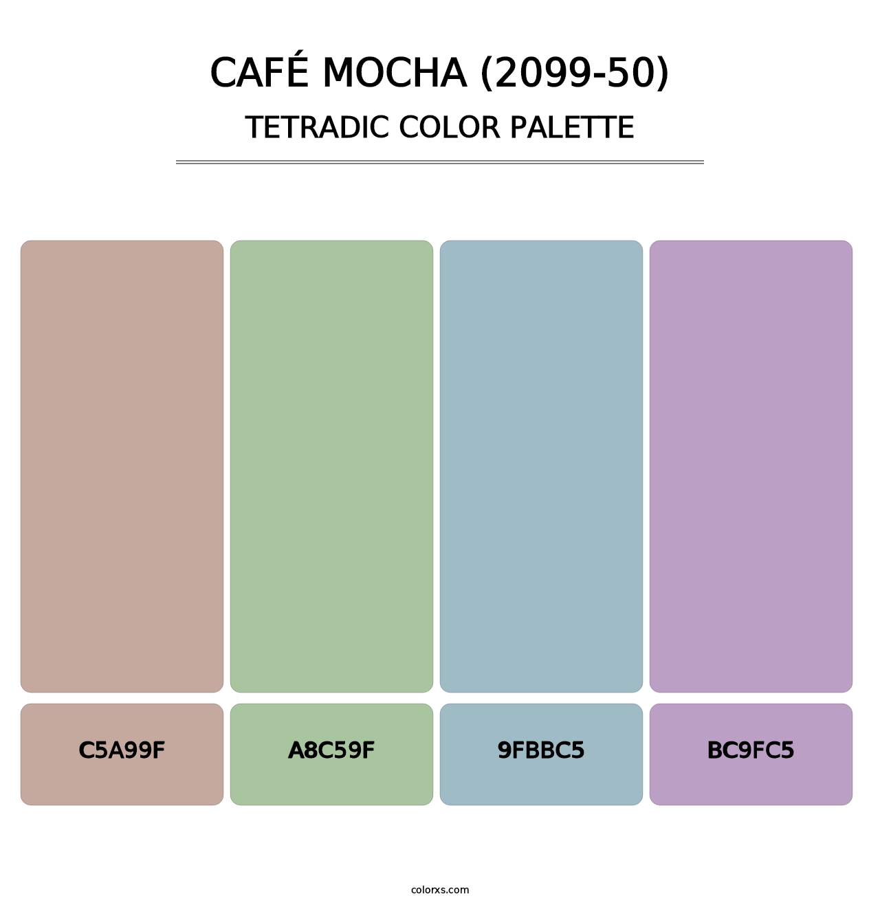 Café Mocha (2099-50) - Tetradic Color Palette