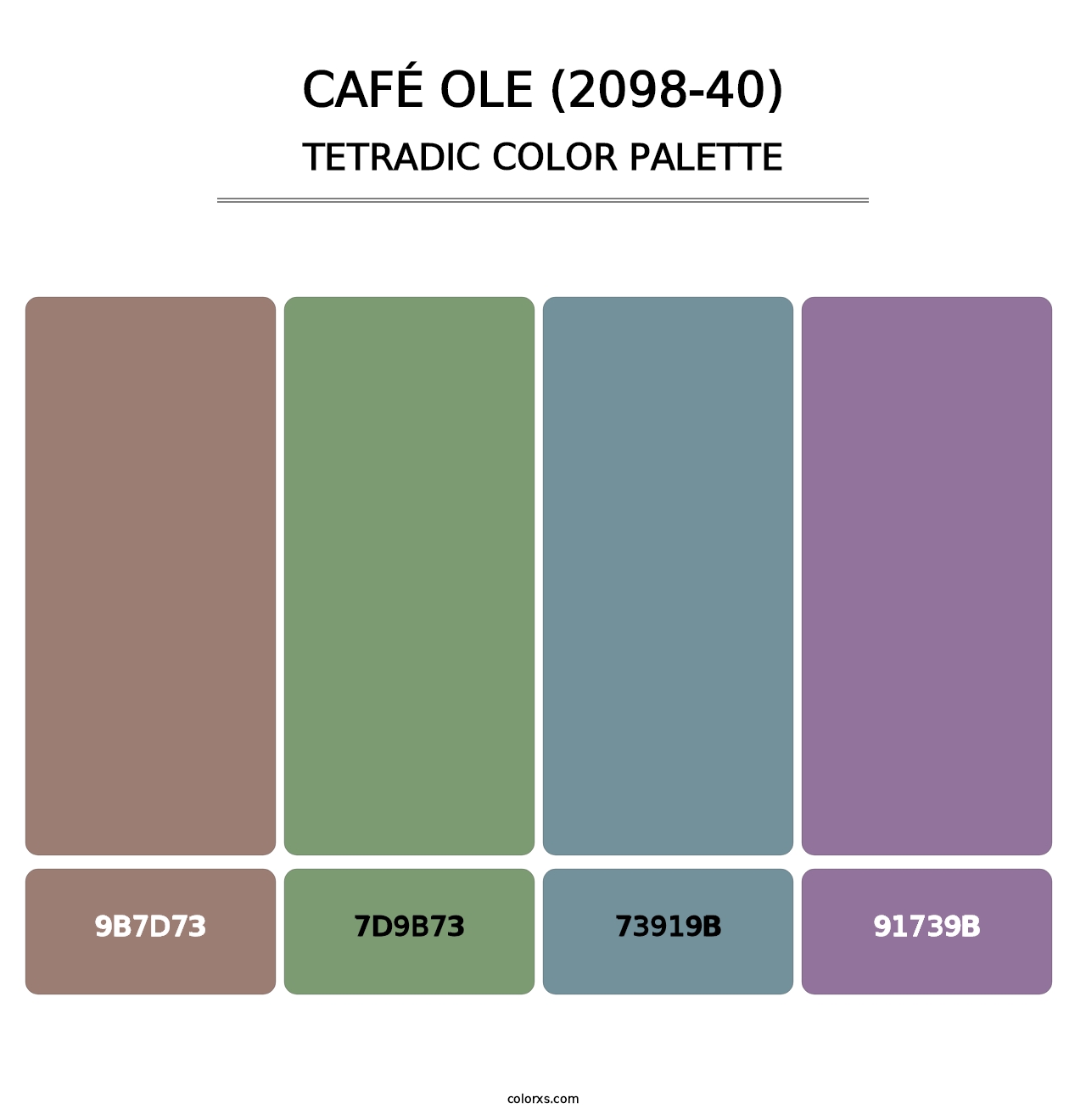 Café Ole (2098-40) - Tetradic Color Palette