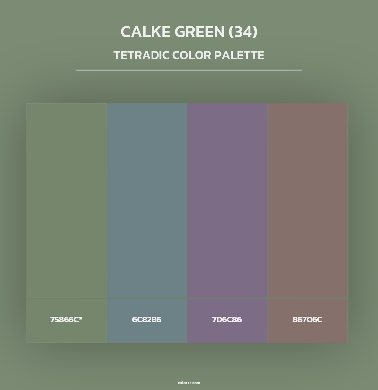 Calke Green (34) - Tetradic Color Palette