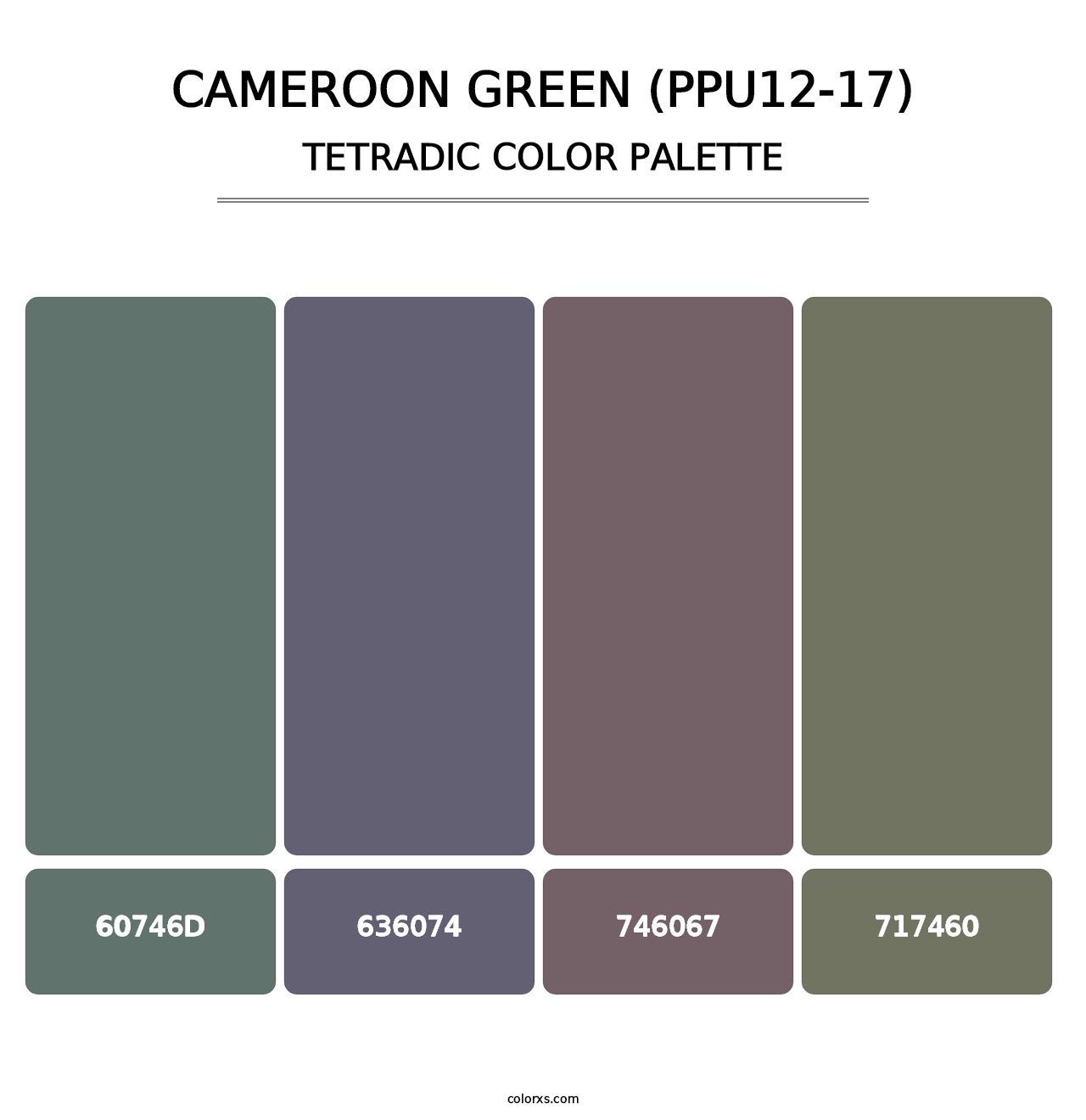 Cameroon Green (PPU12-17) - Tetradic Color Palette