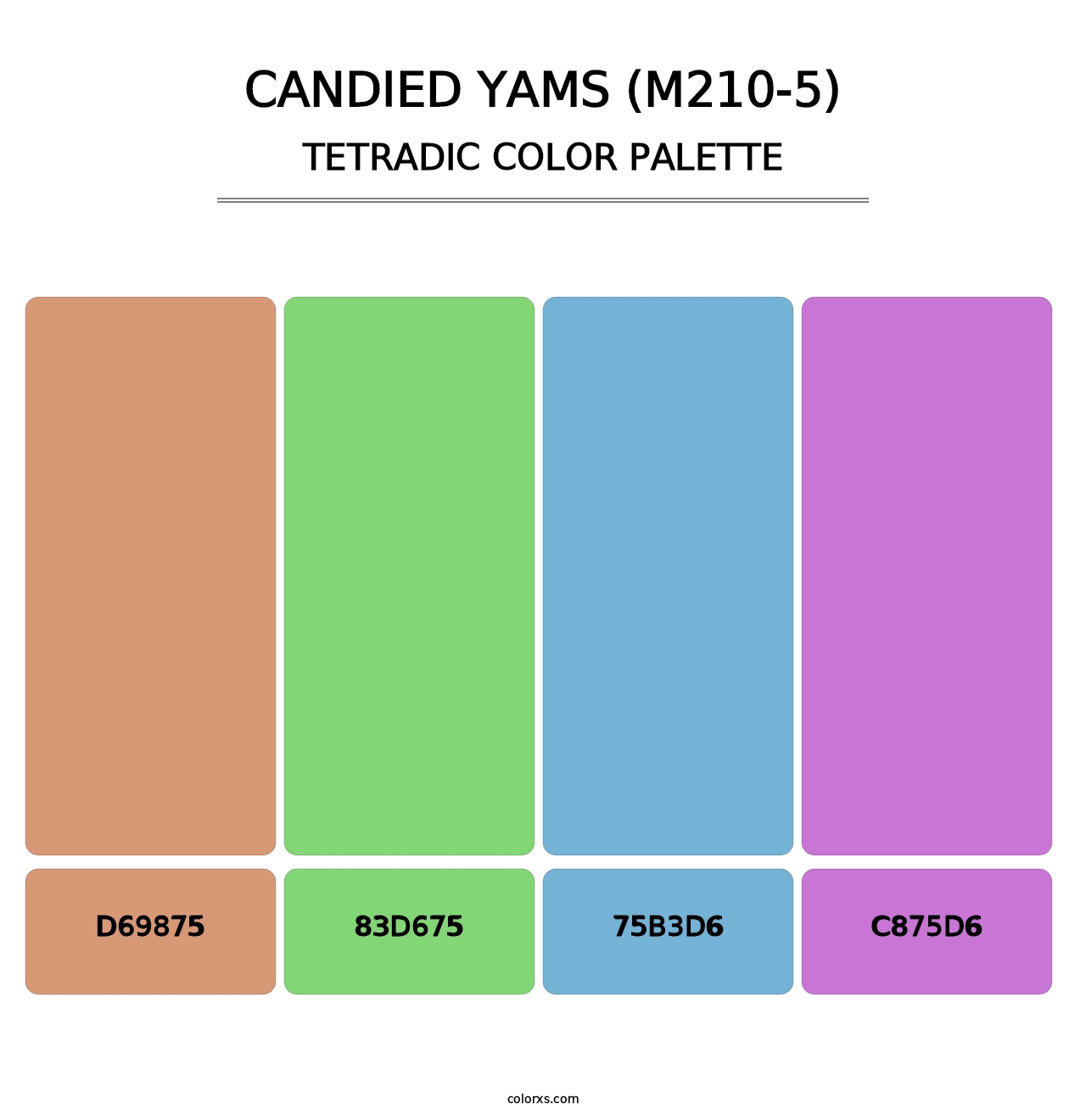 Candied Yams (M210-5) - Tetradic Color Palette