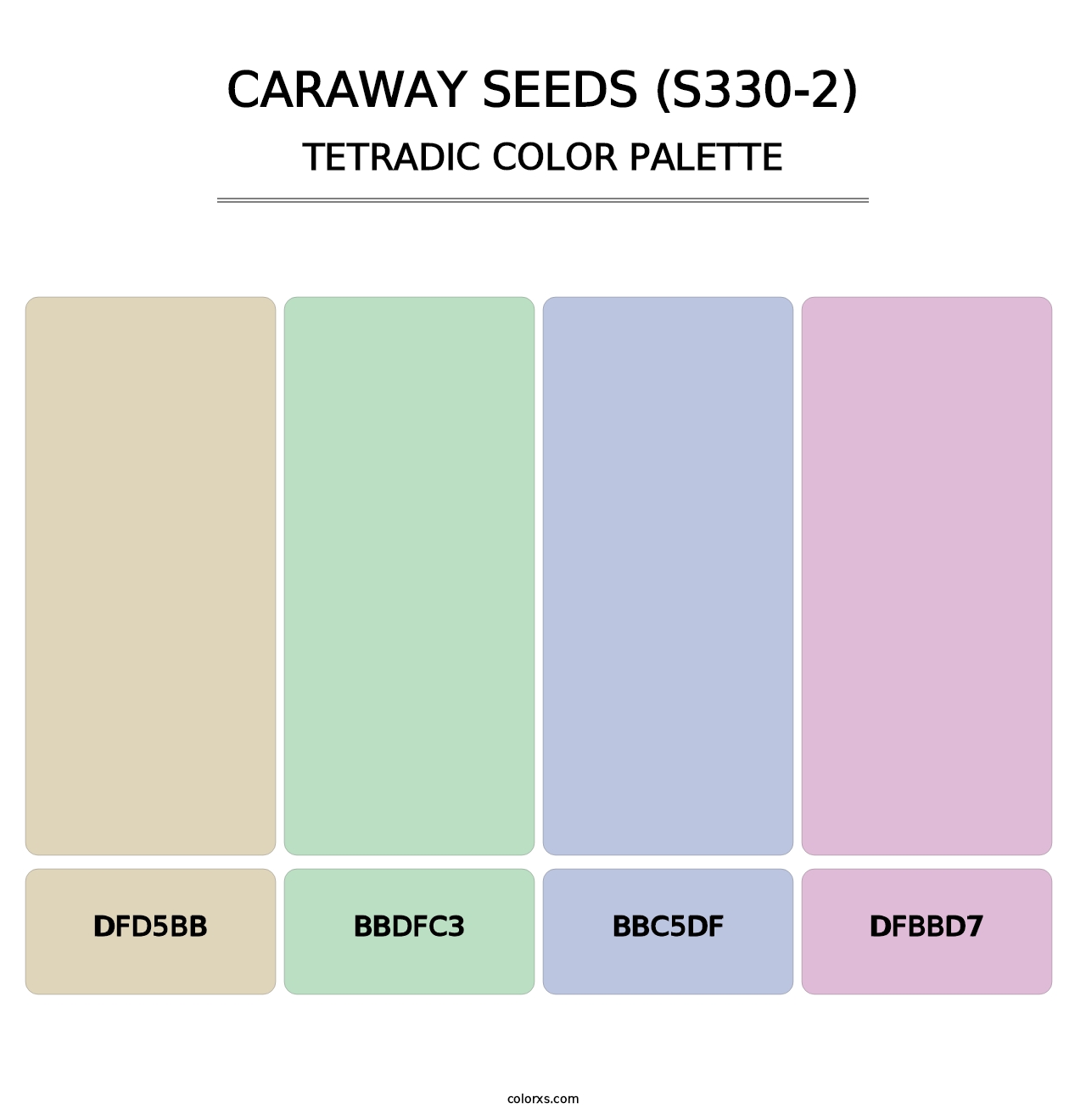 Caraway Seeds (S330-2) - Tetradic Color Palette