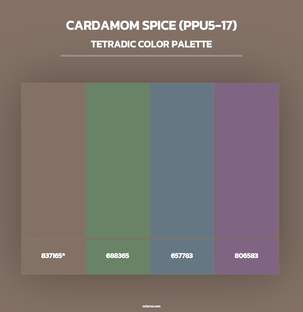 Cardamom Spice (PPU5-17) - Tetradic Color Palette