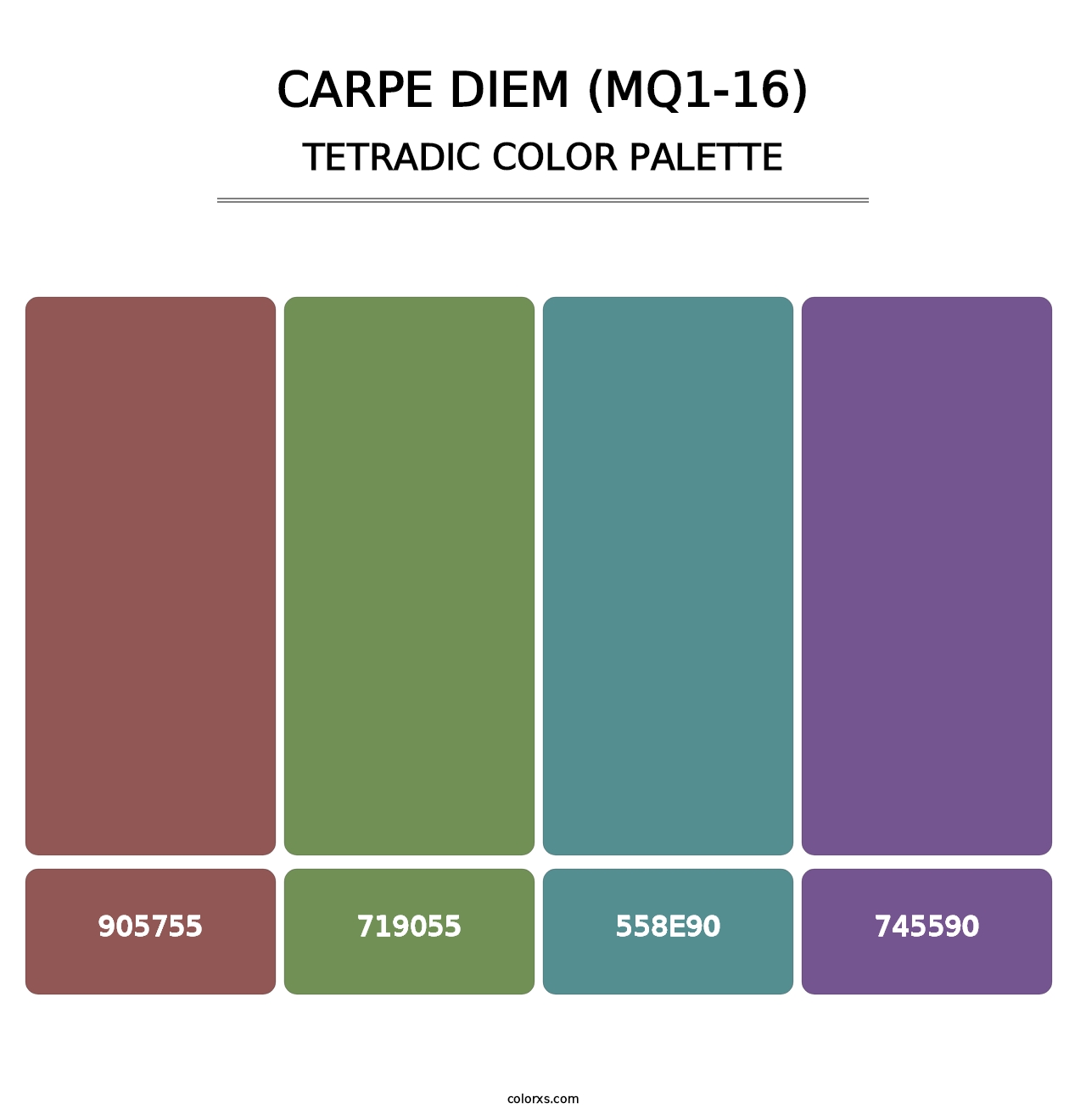 Carpe Diem (MQ1-16) - Tetradic Color Palette