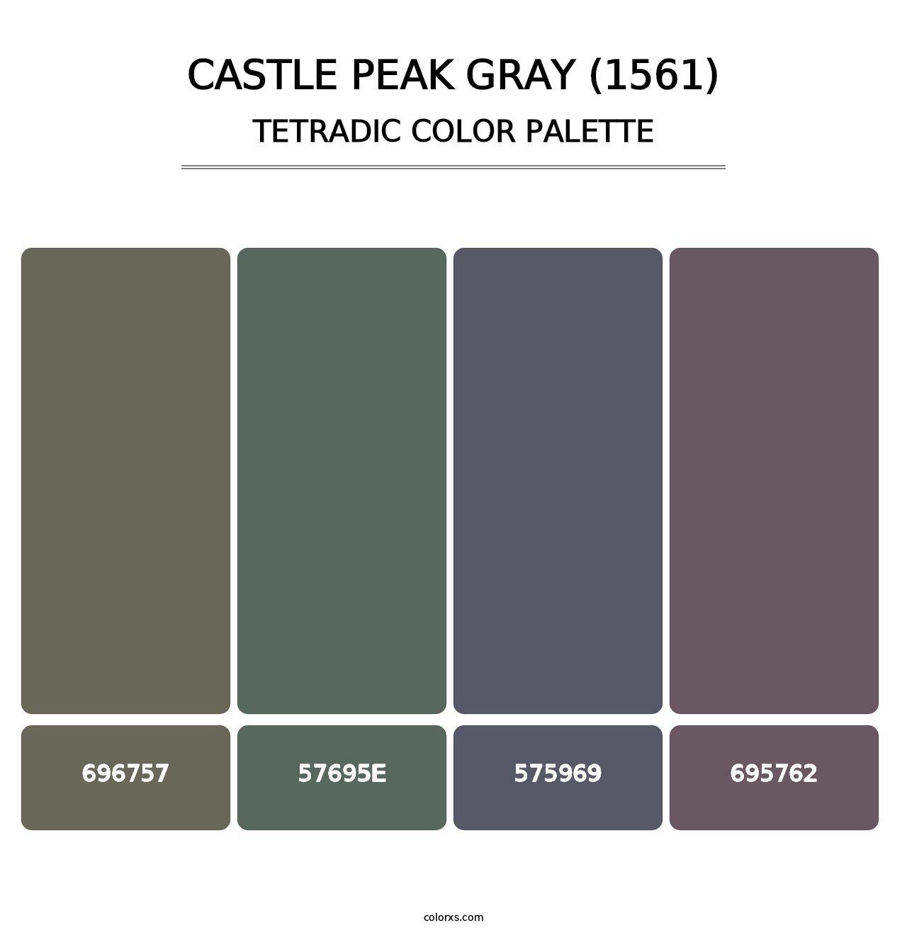 Castle Peak Gray (1561) - Tetradic Color Palette