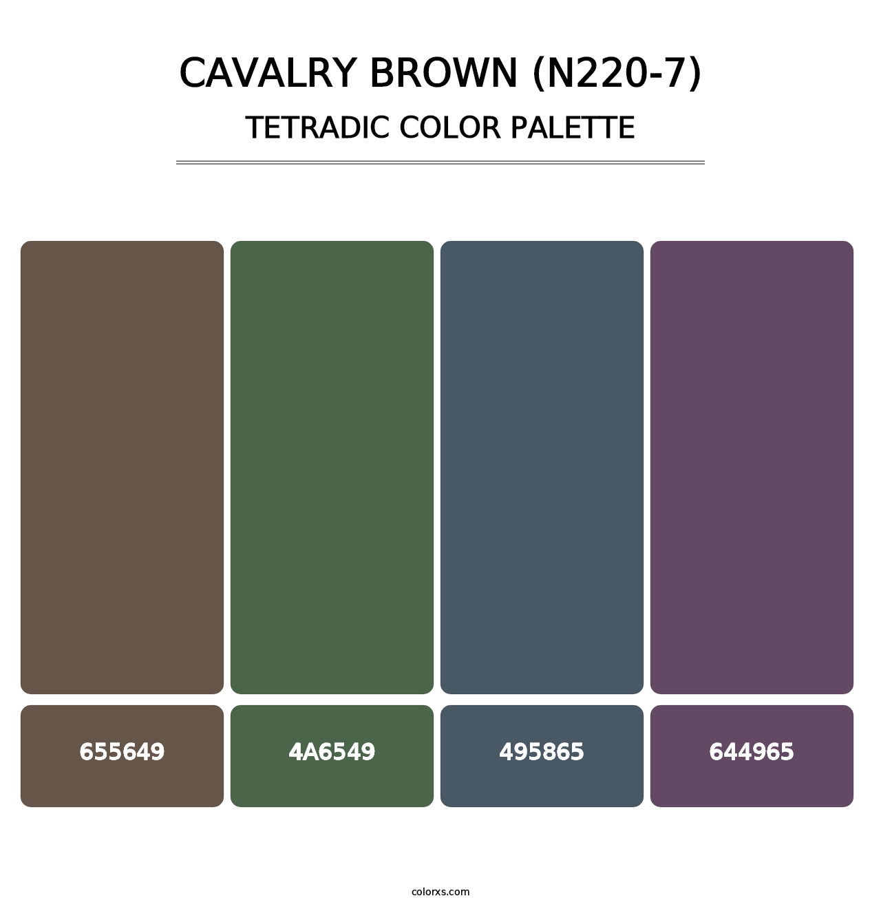 Cavalry Brown (N220-7) - Tetradic Color Palette