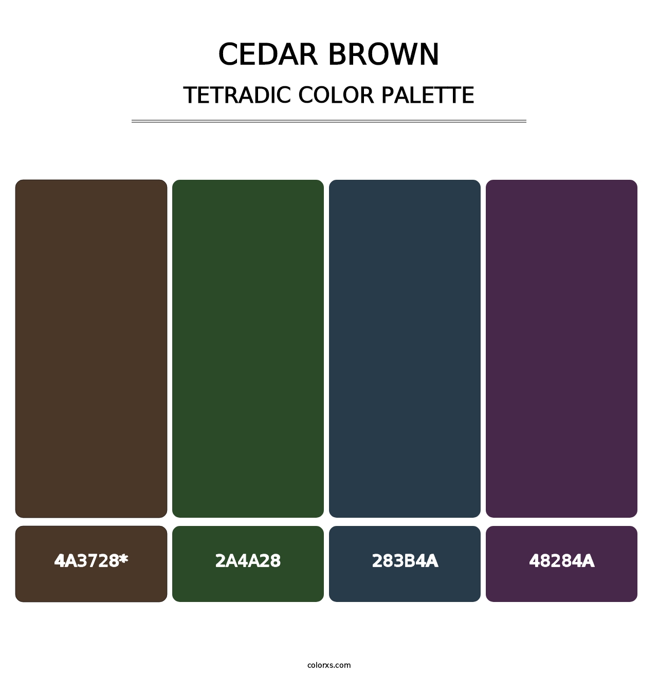 Cedar Brown - Tetradic Color Palette